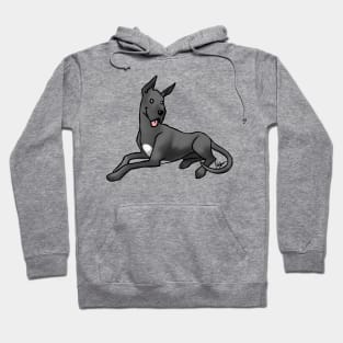 Dog - Great Dane - Black Hoodie